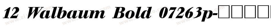 12 Walbaum Bold 07263p字体转换
